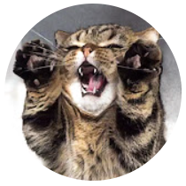 Kittisaurus
