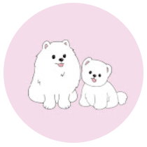 루퐁이네