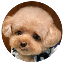 미소아라